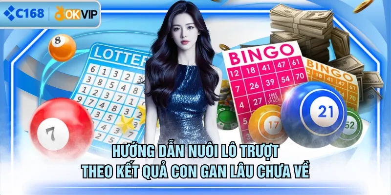 Hướng dẫn nuôi lô trượt theo kết quả con gan lâu chưa về