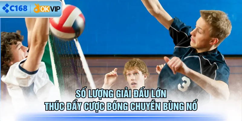 Số lượng giải đấu lớn thúc đẩy cược bóng chuyền bùng nổ